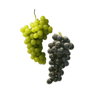 Organic Grapes