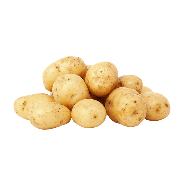 Cras viverra rhoncus – Image 4